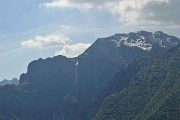 44 Zoom sul Baciamorti